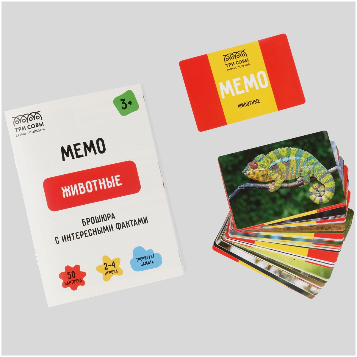 Игра настольная ТРИ СОВЫ 