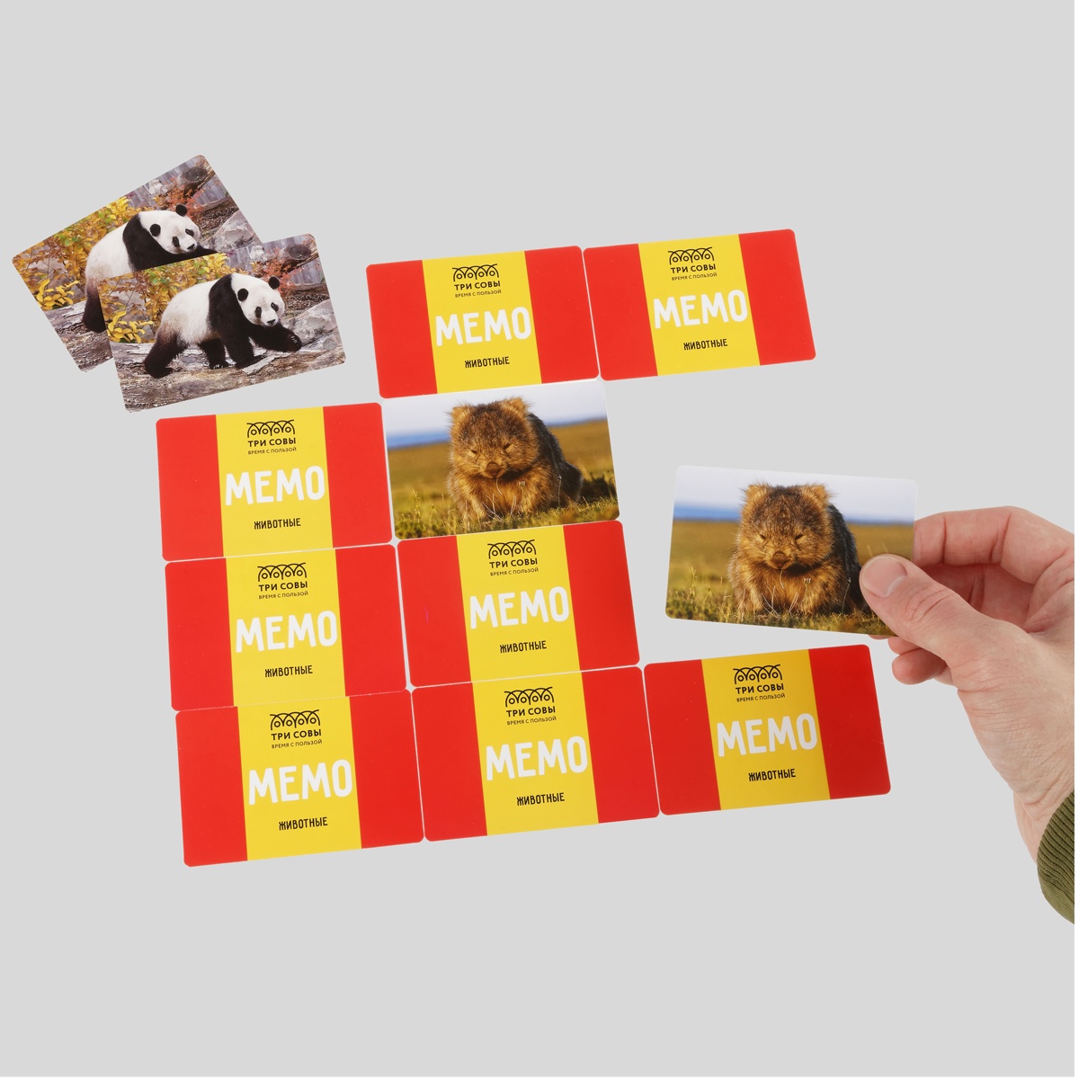 Игра настольная ТРИ СОВЫ 