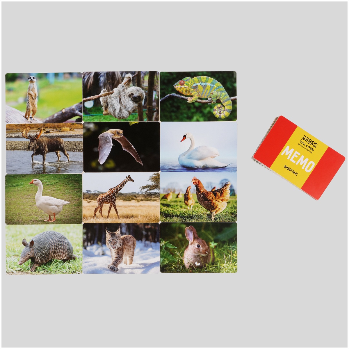 Игра настольная ТРИ СОВЫ 