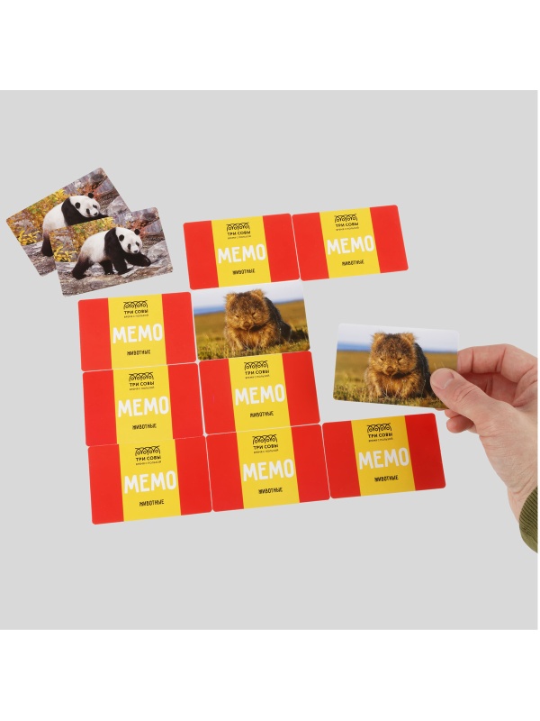 Игра настольная ТРИ СОВЫ 