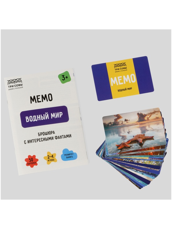 Игра настольная ТРИ СОВЫ 