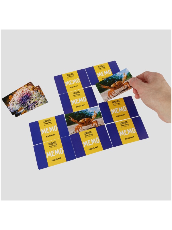 Игра настольная ТРИ СОВЫ 