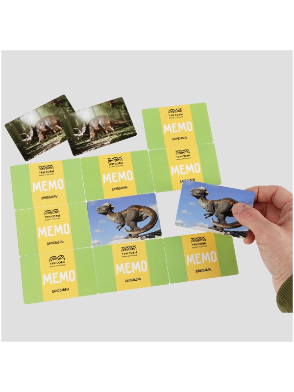 Игра настольная ТРИ СОВЫ 