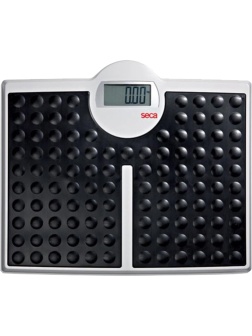 Весы электронные напольные seca 813, с пов., шт