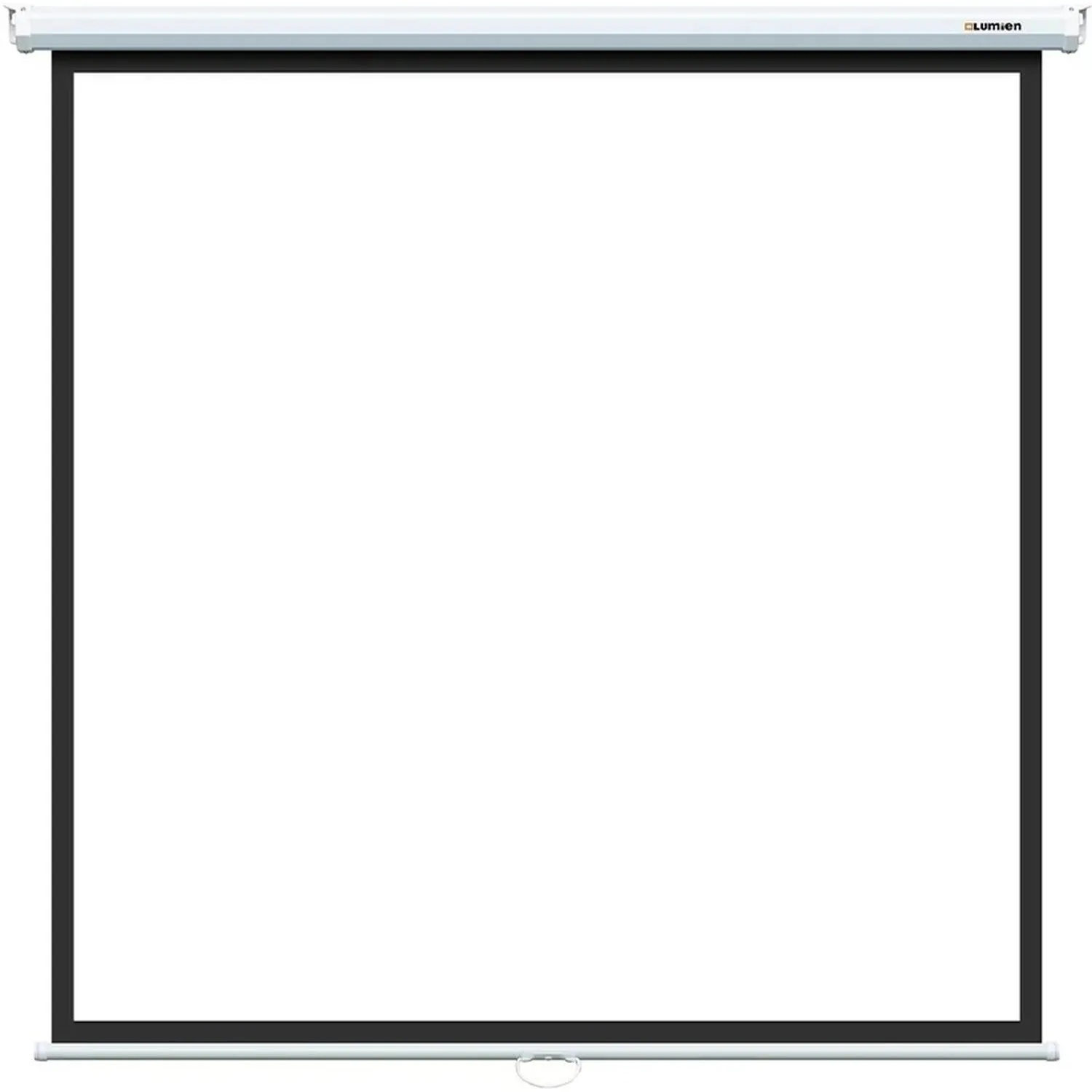 Экран настенный Lumien [Eco Picture] 200х200 см Matte White 1:1