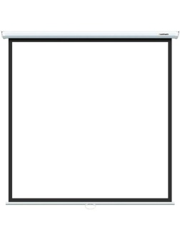 Экран настенный Lumien [Eco Picture] 200х200 см Matte White 1:1