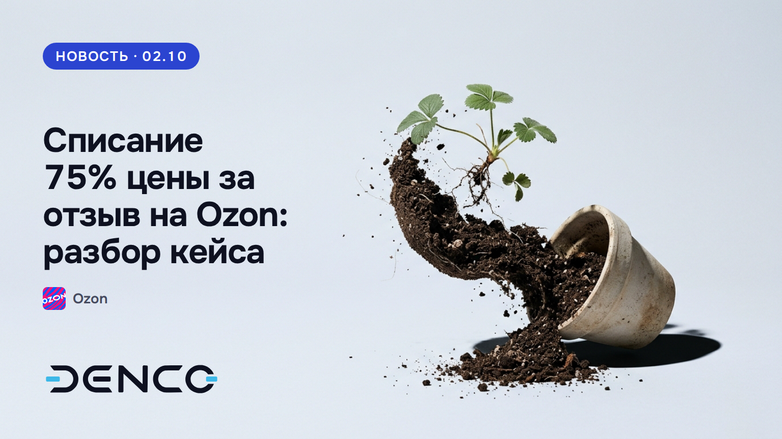 Списание 75% цены за отзыв на Ozon: разбор кейса